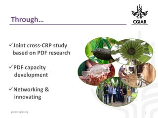 Gender and breeding postdoctoral fellow initiative