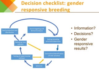 The gender and breeding initiative