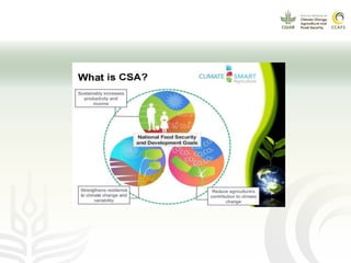 Climate Change Agriculture and Food Security Learning Platform 5: cross-cutting platform on gender and climate-smart agriculture