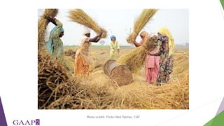 Women's empowerment in agriculture index (WEAI): incorporating gender and mixed methods into nutrition research