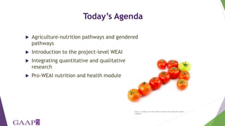 Women's empowerment in agriculture index (WEAI): incorporating gender and mixed methods into nutrition research