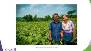 Women's empowerment in agriculture index (WEAI): incorporating gender and mixed methods into nutrition research