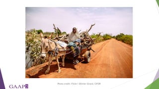 Women's empowerment in agriculture index (WEAI): incorporating gender and mixed methods into nutrition research