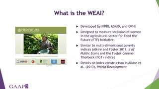 Women's empowerment in agriculture index (WEAI): incorporating gender and mixed methods into nutrition research