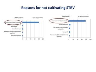 Assessing Institutional Innovations to promote women-led informal seed systems in Eastern India