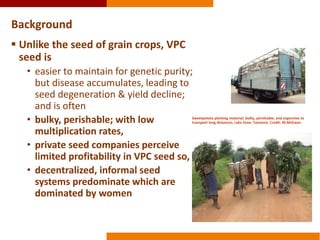 Integrating gender into Kenya’s evolving seed policies