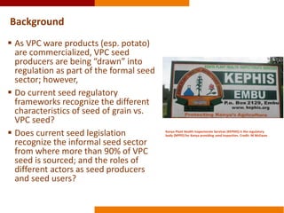 Integrating gender into Kenya’s evolving seed policies