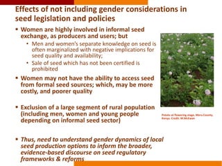 Integrating gender into Kenya’s evolving seed policies