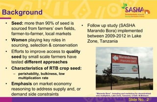 Study: Gender & the Moral Economy of Sweetpotato Vines in Lake Zone, Tanzania