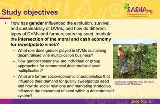 Study: Gender & the Moral Economy of Sweetpotato Vines in Lake Zone, Tanzania
