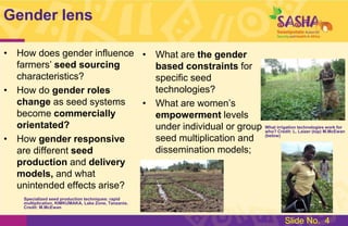 Study: Gender & the Moral Economy of Sweetpotato Vines in Lake Zone, Tanzania