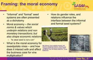 Study: Gender & the Moral Economy of Sweetpotato Vines in Lake Zone, Tanzania