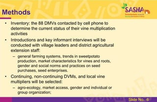 Study: Gender & the Moral Economy of Sweetpotato Vines in Lake Zone, Tanzania