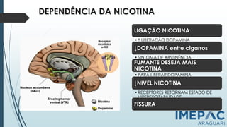 DEPENDÊNCIA QUÍMICA e COMPORTAMENTAL
LIGAÇÃO NICOTINA
• ↑ LIBERAÇÃO DOPAMINA
↓DOPAMINA entre cigarros
• SINTOMA DE ABSTINÊNCIA
FUMANTE DESEJA MAIS
NICOTINA
• PARA LIBERAR DOPAMINA
↓NIVEL NICOTINA
• RECEPTORES RETORNAM ESTADO DE
HIPEREXCITABILIDADE
FISSURA
 