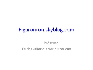 Figaronron.skyblog.com Présente Le chevalier d’acier du toucan 