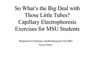 So What’s the Big Deal with
Those Little Tubes?
Capillary Electrophoresis
Exercises for MSU Students
Prepared for Chemistry and Biochemistry Fall 2003
Kevin Olsen
 