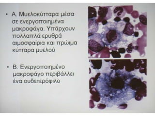 Παρουσιάσεις Πέμπτης   17-10-2013