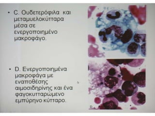 Παρουσιάσεις Πέμπτης   17-10-2013