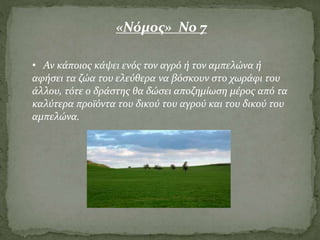 «Νόμος» Νο 7
• Αν κάποιος κάψει ενός τον αγρό ή τον αμπελώνα ή
αφήσει τα ζώα του ελεύθερα να βόσκουν στο χωράφι του
άλλου, τότε ο δράστης θα δώσει αποζημίωση μέρος από τα
καλύτερα προϊόντα του δικού του αγρού και του δικού του
αμπελώνα.
 