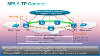 NMS for Network Management
                                    or Dynamic Control Plane
      Working LSP




     Client node         PE                                                  PE    Client node
                                                                            Protect LSP
                                MPLS-TP LSP (Static or Dynamic)
                                             Pseudowire                         with e2e and
                              Section                 Section                   segment OAM
                                      Client Signal

Connection Oriented, pre-determined working path and protect path
Transport Tunnel 1:1 protection, switching triggered by in-band OAM,
Options with NMS for static provisioning, or dynamic control plane for routing and signaling
51                                                                                               51
 