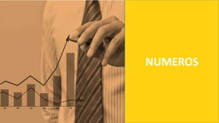 NUMEROS
 