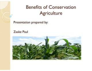 Benefits of Conservation
Agriculture
Presentation prepared by:
Zaake Paul
 