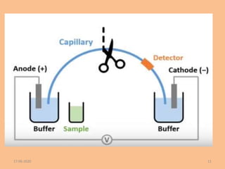 Capillary electrophoresis | PPTX