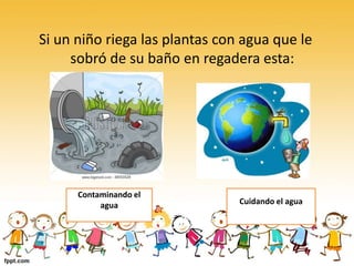 Si un niño riega las plantas con agua que le
sobró de su baño en regadera esta:
Cuidando el agua
Contaminando el
agua
 