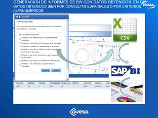 GENERACION DE INFORMES DE BW CON DATOS OBTENIDOS EN GIS,
DATOS OBTENIDOS BIEN POR CONSULTAS ESPACIALES O POR CRITERIOS
ALFANUMERICOS
 