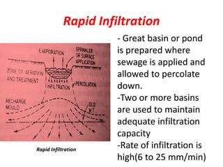Comprehensive Guide to Sewage Disposal and Sludge Management Techniques ...
