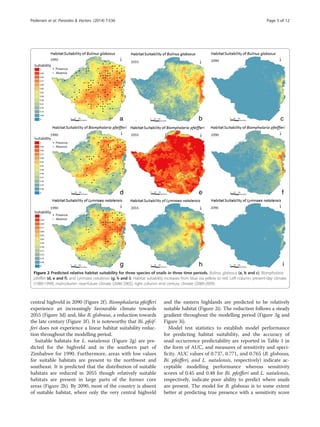 central highveld in 2090 (Figure 2f). Biomphalaria pfeifferi
experience an increasingly favourable climate towards
2055 (Figure 3d) and, like B. globosus, a reduction towards
the late century (Figure 3f). It is noteworthy that Bi. pfeif-
feri does not experience a linear habitat suitability reduc-
tion throughout the modelling period.
Suitable habitats for L. natalensis (Figure 2g) are pre-
dicted for the highveld and in the southern part of
Zimbabwe for 1990. Furthermore, areas with low values
for suitable habitats are present to the northwest and
southeast. It is predicted that the distribution of suitable
habitats are reduced in 2055 though relatively suitable
habitats are present in large parts of the former core
areas (Figure 2h). By 2090, most of the country is absent
of suitable habitat, where only the very central highveld
and the eastern highlands are predicted to be relatively
suitable habitat (Figure 2i). The reduction follows a steady
gradient throughout the modelling period (Figure 3g and
Figure 3i).
Model test statistics to establish model performance
for predicting habitat suitability, and the accuracy of
snail occurrence predictability are reported in Table 1 in
the form of AUC, and measures of sensitivity and speci-
ficity. AUC values of 0.737, 0.771, and 0.765 (B. globosus,
Bi. pfeifferi, and L. natalensis, respectively) indicate ac-
ceptable modelling performance whereas sensitivity
scores of 0.45 and 0.48 for Bi. pfeifferi and L. natalensis,
respectively, indicate poor ability to predict where snails
are present. The model for B. globosus is to some extent
better at predicting true presence with a sensitivity score
Figure 2 Predicted relative habitat suitability for three species of snails in three time periods. Bulinus globosus (a, b and c), Biomphalaria
pfeifferi (d, e and f), and Lymnaea natalensis (g, h and i). Habitat suitability increases from blue via yellow to red. Left column: present-day climate
(1980-1999), mid-column: near-future climate (2046-2065), right column: end century climate (2080-2099).
Pedersen et al. Parasites & Vectors (2014) 7:536 Page 5 of 12
 