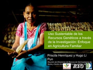 Uso Sustentable de los
Recursos Genéticos a través
de la Investigación: Enfoque
en Agricultura Familiar
Priscila Henríquez y Hugo Li
Pun
Reunión de Directores de Bancos de Germoplasma de
Norte y Centro América, y el Caribe, CNRG, México
 