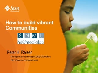How to build vibrant
Communities



Peter H. Reiser
  Principal Field Technologist GSS CTO Office
  http://blog.sun.com/peterreiser



                                                1
 