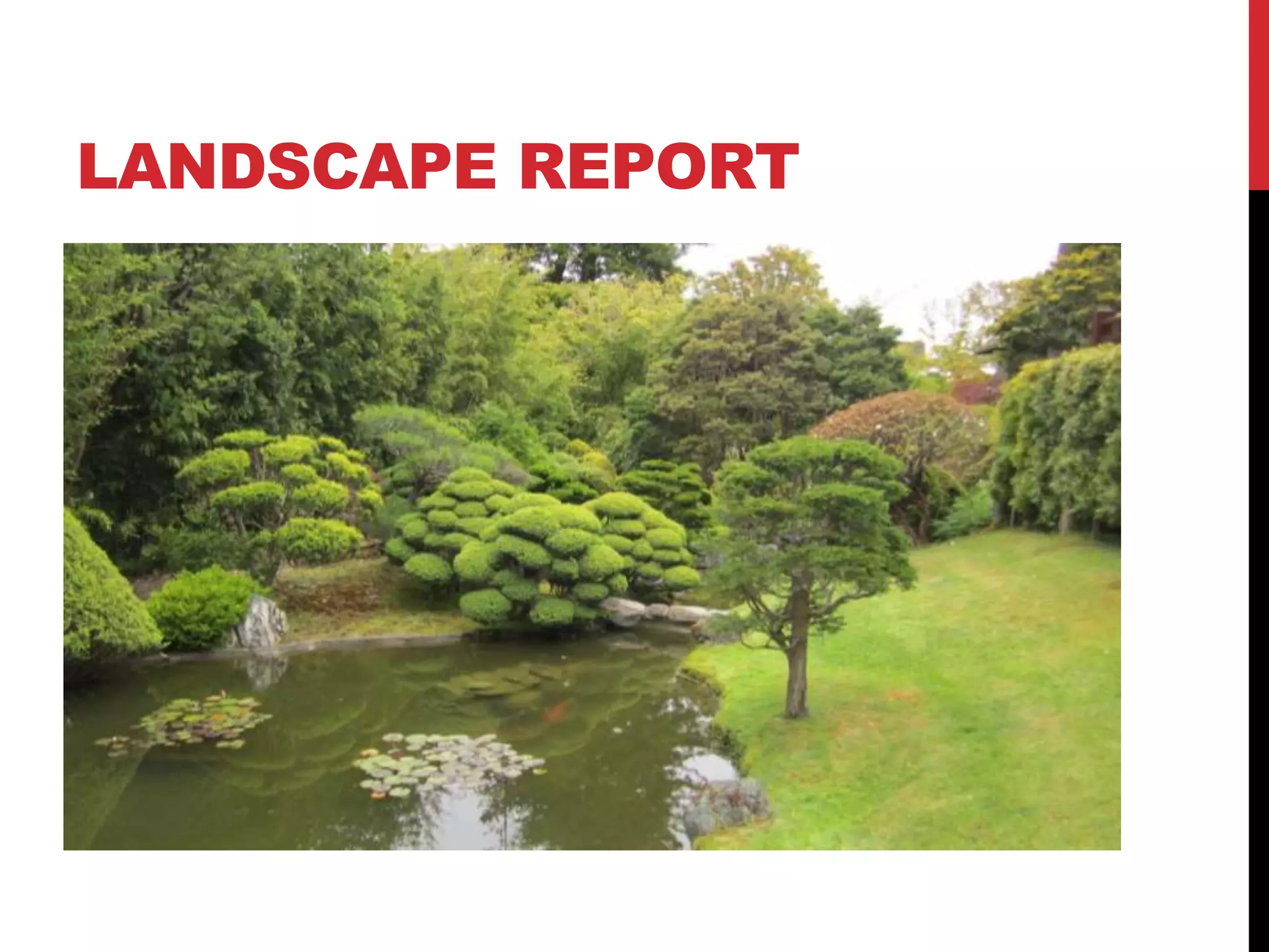 LANDSCAPE REPORT
 