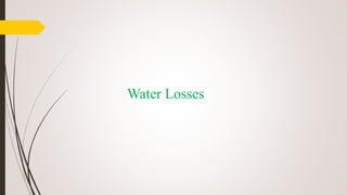 Water Losses
 