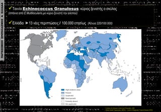 Ταινία Echinococcus Granulosus: κύριος ξενιστής ο σκύλος (σπάνια από Ε.Multilocularis με κύριο ξενιστή την αλεπού) 
Ελλά...