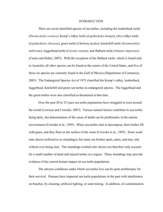 INTRODUCTION
There are seven identified species of sea turtles, including the leatherback turtle
(Dermochelys coriace), Kemp’s ridley turtle (Lepidochelys kempii), olive ridley turtle
(Lepidochelys olivacea), green turtle (Chelonia mydas), hawksbill turtle (Eretmochelys
imbricate), loggerhead turtle (Caretta caretta), and flatback turtle (Natator depressus)
(Castro and Huber, 2007). With the exception of the flatback turtle, which is found only
in Australia, all other species can be found in the waters of the United States, and five of
these six species are currently found in the Gulf of Mexico (Department of Commerce,
2003). The Endangered Species Act of 1973 classified the Kemp’s ridley, leatherback,
loggerhead, hawksbill and green sea turtles as endangered species. The loggerhead and
the green turtles were also classified as threatened at that time.
Over the past 20 to 25 years sea turtle populations have struggled to exist around
the world (Lewison and Crowder, 2007). Various natural factors contribute to sea turtles
dying daily, but determination of the cause of death can be problematic in the marine
environment (Crowder et al., 1995). When sea turtles start to decompose, their bodies fill
with gases, and they float on the surface of the water (Crowder et al., 1995). Some wash
onto shores (referred to as strandings), but many are broken apart, eaten, and may sink
without ever being seen. The strandings washed onto shores can therefore only account
for a small number of dead and injured turtles in a region. These strandings may provide
evidence of the current human impact on sea turtle populations.
The adverse conditions under which sea turtles live can be quite problematic for
their survival. Humans have impacted sea turtle populations in the past with interference
on beaches, by cleaning, artificial lighting, or sand mining. In addition, oil contamination
 