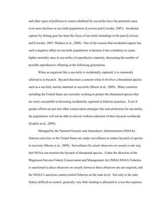 and other types of pollution in waters inhabited by sea turtles have the potential cause
even more declines in sea turtle populations (Lewison and Crowder, 2007). Incidental
capture by fishing gear has been the focus of sea turtle strandings in the past (Lewison
and Crowder, 2007; Wallace et al., 2008). One of the reasons that incidental capture has
such a negative affect on sea turtle populations is because it has a tendency to cause
higher mortality rates in sea turtles of reproductive maturity, decreasing the number of
possible reproductive offspring in the following generations.
When an organism like a sea turtle is incidentally captured, it is commonly
referred to as bycatch. Bycatch becomes a concern when it involves a threatened species
such as a sea bird, marine mammal or sea turtle (Moore et al., 2009). Many countries
including the United States are currently working to protect the threatened species that
are more susceptible to becoming incidentally captured in fisheries practices. Even if
greater efforts are put into other conservation strategies like nest protection for sea turtles,
the populations will not be able to recover without reduction of their bycatch worldwide
(Zydelis et al., 2009).
Managed by the National Oceanic and Atmosheric Administraiton (NOAA),
fisheries activities in the United States are under surveillance to reduce bycatch of species
in recovery (Moore et al., 2009). Surveillance by actual observers on vessels is one way
that NOAA can monitor the bycatch of threatened species. Under the direction of the
Magnuson-Stevens Fishery Conservation and Management Act (MSA) NOAA Fisheries
is sanctioned to place observers on vessels, however these observers are not required, and
the NOAA’s sanctions cannot control fisheries on the state level. Not only is the state
fishery difficult to control, generally very little funding is allocated to cover the expenses
 