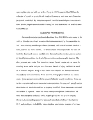 success of juvenile and adult sea turtles. Cox et al. (2007) suggested that TED use for
reduction of bycatch to targeted levels simply will not occur until some sort of incentive
program is established. By implementing small yet effective techniques to decrease sea
turtle bycatch, improvements in survival among sea turtle populations can be made in the
Gulf of Mexico.
MATERIALS AND METHODS
Records of sea turtle strandings in Louisiana from 2002-2009 were reported to the
AAOA. The observer of each stranding filled out a document (Fig. 2) produced by the
Sea Turtle Stranding and Salvage Network (STSSN). The form included the observer’s
name, address, and phone number. The details of each stranding included but were not
limited to date found, number found (if more than one found in one day), species and sex
(if identifiable), condition (i.e. level of decomposition), and geographic location. The
observer made notes on the final state of the carcass (buried, painted, etc.) to insure the
stranding would not be surveyed more than once. Details of injury could also be noted
on an included diagram. Many of these forms were complete and detailed, but others
included only basic information. When possible, photographs were taken and sent via
email. Some species were recorded as unidentified under specific conditions. Some sea
turtles were not complete specimens due to decomposition. In some, only a small portion
of the turtle was found and could not be properly identified. Some sea turtles were found
and referred to “hybrids.” These sea turtles displayed recognition characteristics for
more than one species and could not be properly placed into one species category.
However, these strandings cannot be technically classified as hybrids without proper
DNA analysis (James et al., 2004). Many stranding reports noted instances of obvious
 