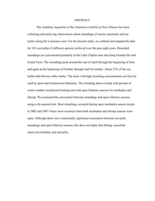 ABSTRACT
The Audubon Aquarium of the Americas (AAOA) in New Orleans has been
collecting and archiving observations about strandings of marine mammals and sea
turtles along the Louisiana coast. For the present study, we collated and mapped the data
for 163 sea turtles (5 different species) archived over the past eight years. Recorded
strandings are concentrated primarily in the Lake Charles area and along Grande Isle and
Grand Terre. The strandings peak around the end of April through the beginning of June
and again at the beginning of October through mid-November. About 23% of the sea
turtles had obvious strike marks. The areas with high stranding concentrations are heavily
used by sport and commercial fishermen. The stranding dates overlap with periods of
warm weather recreational boating and with open fisheries seasons for menhaden and
shrimp. We examined the association between strandings and open fisheries seasons
using a chi-squared test. Most strandings occurred during open menhaden season except
in 2002 and 2007 where most occurred when both menhaden and shrimp seasons were
open. Although there was a statistically significant association between sea turtle
strandings and open fisheries seasons, this does not imply that fishing caused the
observed morbidity and mortality.
 