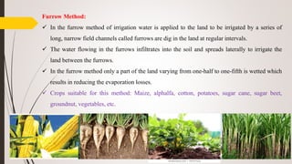 Furrow Method:
 In the furrow method of irrigation water is applied to the land to be irrigated by a series of
long, narrow field channels called furrows are dig in the land at regular intervals.
 The water flowing in the furrows infiltrates into the soil and spreads laterally to irrigate the
land between the furrows.
 In the furrow method only a part of the land varying from one-half to one-fifth is wetted which
results in reducing the evaporation losses.
 Crops suitable for this method: Maize, alphalfa, cotton, potatoes, sugar cane, sugar beet,
groundnut, vegetables, etc.
 
