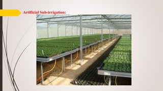 Artificial Sub-irrigation:
 