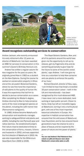 7K E W A U T U M N 2 0 1 5K E W. O R G / N E W S
N E W S
Award recognises outstanding services to conservation
Andrew Jackson, who recently announced
his early retirement after 12 years as
director of Wakehurst, has been awarded
an MBE for services to conservation in this
summer’s Queen’s Birthday Honours List.
Andrew has written a regular column for
Kew magazine for the past six years. He
originally joined Kew in 1983 as a student
on the Kew Diploma. During the course he
worked on conservation projects in Africa
and at the Jerusalem Botanical Gardens,
where he saw first hand the importance
of wild plants to the quality of human life.
It was this experience that led him to
decide to pursue conservation as a career.
After completing his Master’s degree,
Andrew returned to Kew to help conserve
some of the most endangered species on
the planet, including the café marron tree
(Ramosmania rodriguesii).
In 1989, Andrew became Wakehurst’s
conservation and woodlands manager,
working to safeguard British wild plants and
wildlife, including the rare Plymouth pear and
native dormice. He established Europe’s
first nature reserve dedicated entirely to
the conservation of ferns, mosses, lichens
and liverworts in 2002, and was appointed
the first director of Wakehurst in 2003. He
was also responsible for the Millennium
Seed Bank from 2006 to 2008.
‘The Royal Botanic Gardens, Kew, and
all of its partners around the world have
given me the opportunity to roll up my
sleeves, get my fingernails dirty and do
something personally to give hope for
the future to some of the world’s rarest
plants,’ says Andrew. ‘I will now give my
time as a volunteer to help Kew conserve
and use plants to enhance the quality
of our lives.’
Richard Deverell, director of Kew, says,
‘I am thrilled to hear that Andy’s incredible
35-year conservation career – both in the
UK and internationally – has been
recognised by this much-deserved MBE.
I have never met a more dedicated, hard-
working or loyal public servant. Closer to
home, Andy has left an incredible legacy
at Wakehurst, turning it into a horticultural
gem, with one of the most important
botanical collections in Europe. His
expertise in habitat conservation has
ensured that the wild areas of Wakehurst
have flourished, and he has ensured future
generations have the chance to visit a
place of beauty and be inspired by the
power of nature and the power of plants.’
—
You can read Andrew’s ﬁnal Wakehurst View
column on p58 and discover more about
Wakehurst’s conservation plans on p40.
Learn from the experts
Check out the new autumn
and winter courses brochure
at kew.org/learn or pick up
a copy at Kew today
Kew offers a wide range of courses
and workshops, so why not learn
a new skill this autumn? Whether
you’re interested in plants and
photography, would like to watch
kingfishers in their natural habitat,
or want to try out botanical
illustration, Kew’s adult education
programme can help. This autumn
and winter you can choose from an
iPad art workshop, wine tasting in
time for Christmas, gardening for
beginners and two orchid-growing
courses. You can even buy gift
vouchers as Christmas presents.
Take a look at the What’s On
section (p66) or download the
brochure at kew.org/learn.
Photos:JeffEden,RBGKew
Andrew Jackson
is delighted to
receive an MBE in
recognition of his
conservation work
 