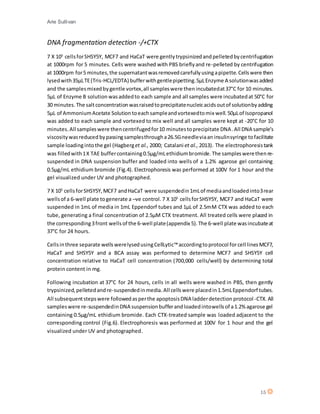 Arie Sullivan
15
DNA fragmentation detection -/+CTX
7 X 105
cellsforSHSY5Y, MCF7 and HaCaT were gentlytrypsinizedandpelletedbycentrifugation
at 1000rpm for 5 minutes. Cells were washed with PBS brieflyand re-pelleted by centrifugation
at 1000rpm for5 minutes,the supernatantwasremovedcarefullyusingapipette.Cellswere then
lysedwith35µLTE(Tris-HCL/EDTA) bufferwithgentlepipetting.5µLEnzyme A solutionwasadded
and the samplesmixedbygentle vortex,all sampleswere thenincubatedat37°C for 10 minutes.
5µL of Enzyme B solution wasaddedto each sample and all samples were incubatedat 50°C for
30 minutes. The saltconcentrationwasraisedtoprecipitatenucleicacidsoutof solutionbyadding
5µL of AmmoniumAcetate Solution toeachsampleandvortexedtomix well.50µLof Isopropanol
was added to each sample and vortexed to mix well and all samples were kept at -20°C for 10
minutes.All sampleswere thencentrifugedfor10 minutestoprecipitate DNA.All DNA sample’s
viscositywasreduced bypassingsamplesthrougha26.5Gneedleviaan insulinsyringe tofacilitate
sample loadingintothe gel (Hagberget al., 2000; Catalani et al., 2013). The electrophoresistank
was filledwith1X TAE buffercontaining0.5µg/mLethidiumbromide.The sampleswerethenre-
suspended in DNA suspension buffer and loaded into wells of a 1.2% agarose gel containing
0.5µg/mL ethidium bromide (Fig.4). Electrophoresis was performed at 100V for 1 hour and the
gel visualized under UV and photographed.
7 X 105
cellsforSHSY5Y,MCF7 andHaCaT were suspendedin1mLof mediaandloadedinto3rear
wellsof a 6-well plate togenerate a –ve control. 7 X 105
cellsforSHSY5Y, MCF7 and HaCaT were
suspended in 1mL of media in 1mL Eppendorf tubes and 1µL of 2.5mM CTX was added to each
tube, generating a final concentration of 2.5µM CTX treatment. All treated cells were placed in
the corresponding3front wellsof the 6-well plate(appendix 5).The 6-well plate wasincubateat
37°C for 24 hours.
Cellsinthree separate wellswerelysedusingCellLytic™accordingtoprotocol forcell lines MCF7,
HaCaT and SHSY5Y and a BCA assay was performed to determine MCF7 and SHSY5Y cell
concentration relative to HaCaT cell concentration (700,000 cells/well) by determining total
protein content in mg.
Following incubation at 37°C for 24 hours, cells in all wells were washed in PBS, then gently
trypsinized,pelletedandre-suspendedinmedia.All cellswere placedin1.5mLEppendorf tubes.
All subsequentstepswere followedasperthe apoptosisDNA ladderdetection protocol -CTX. All
sampleswere re-suspendedinDNA suspensionbufferandloadedintowellsof a1.2% agarose gel
containing 0.5µg/mL ethidium bromide. Each CTX-treated sample was loaded adjacent to the
corresponding control (Fig.6). Electrophoresis was performed at 100V for 1 hour and the gel
visualized under UV and photographed.
 