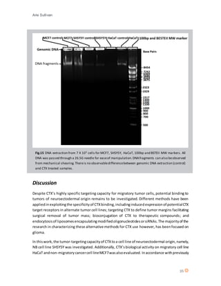 Arie Sullivan
25
Discussion
Despite CTX’s highly specific targeting capacity for migratory tumor cells, potential binding to
tumors of neuroectodermal origin remains to be investigated. Different methods have been
appliedin exploitingthe specificityof CTXbinding,includinginducedexpressionof potentialCTX
target receptors in alternate tumor cell lines; targeting CTX to define tumor margins facilitating
surgical removal of tumor mass; bioconjugation of CTX to therapeutic compounds; and
endocytosisof liposomesencapsulatingmodifiedoligonucleotidesorsiRNAs.The majorityof the
research in characterizing these alternative methods for CTX use however, has beenfocused on
glioma.
In thiswork, the tumor-targetingcapacityof CTXtoa cell line of neuroectodermal origin,namely,
NB cell line SHSY5Y was investigated. Additionally, CTX’sbiological activity on migratory cell line
HaCaT andnon-migratorycancercell lineMCF7wasalsoevaluated. Inaccordance withpreviously
Fig.15 DNA extraction from 7 X 105 cells for MCF7, SHSY5Y, HaCaT, 100bp and BSTEII MW markers. All
DNA was passed through a 26.5G needle for easeof manipulation.DNAfragments can also beobserved
from mechanical shearing.Thereis no observabledifferencebetween genomic DNA extraction (control)
and CTX treated samples.
 