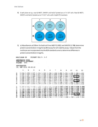 Arie Sullivan
36
4) 6-well plate set up, row A) MCF7, SHSY5Y and HaCaT plated out at 7 X 105 cells. Row B) MCF7,
SHSY5Y and HaCaT plated out at 7 X 10 5 cells with 2.5µM CTX treatment.
5) a) Absorbances at570nm for bothcell lines MCF7(1.901) and SHSY5Y (1.798) determine
proteinconcentration inmg/mLbyBCA assay forcell viabilityassay. Valuesfromthe
multiscanare incorporatedintothe BCA standardcurve to determine difference in
proteinconcentrationinmg/mL.
 