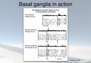 Basal ganglia in action
d in alert monkeys while they per-
vioral acts and receive rewards.
delivery (Fig. 1, top). After several days of
training, the animal learns to reach for the
puts appear to code for a d
between the actual reward
dictions of the time and ma
These neurons are activated
of the reward is uncertain, th
by any preceding cues. Dopa
therefore excellent feature
“goodness” of environment
to learned predictions abo
They emit a positive signa
production) if an appetitiv
than predicted, no signal (n
production) if an appetitiv
predicted, and a negative
spike production) if an ap
worse than predicted (Fig. 1
Computational Theo
The TD algorithm (6, 7) is
suited to understanding th
played by the dopamine s
the information it construc
(8, 10, 12). This work has
in dopamine activity in d
supervisory signal for
changes (8, 10, 12) and (
influence directly and indi
Reward predicted
Reward occurs
No prediction
Reward occurs
Reward predicted
No reward occurs
(No CS)
(No R)CS
-1 0 1 2 s
CS
R
R
Do dopamine neurons report an error
in the prediction of reward?
hanges in dopamine neurons’
e for an error in the prediction of
events. (Top) Before learning, a
petitive fruit juice occurs in the
f prediction—hence a positive
prediction of reward. The do-
uron is activated by this unpre-
urrence of juice. (Middle) After
e conditioned stimulus predicts
d the reward occurs according
diction—hence no error in the
of reward. The dopamine neu-
ated by the reward-predicting
ut fails to be activated by the
reward (right). (Bottom) After
e conditioned stimulus predicts
ut the reward fails to occur be-
mistake in the behavioral re-
the monkey. The activity of the
neuron is depressed exactly at
hen the reward would have oc-
e depression occurs more than
e conditioned stimulus without
ning stimuli, revealing an inter-
ntation of the time of the pre-
ard. Neuronal activity is aligned Scultz et al. 1997
 