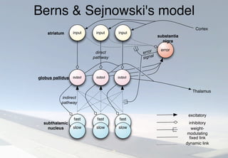 Berns & Sejnowski's model
error
signal
indirect
pathway
striatum
globus pallidus
error
substantia
nigra
direct
pathway
subthalamic
nucleus
input
output
fast
slow
input
output
fast
slow
input
output
fast
slow
excitatory
inhibitory
weight-
modulating
ﬁxed link
dynamic link
Thalamus
Cortex
 