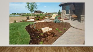 MarkBerg_Portfolio 2016