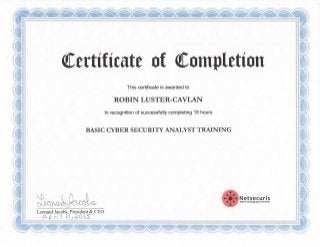 Cyber Security 100%06072015